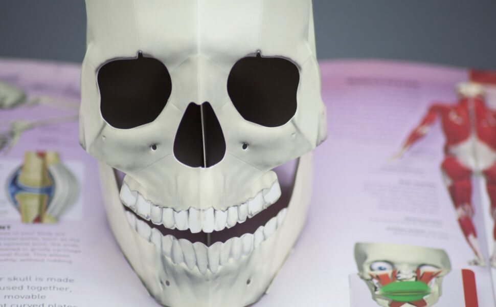 Pop-up paper skull