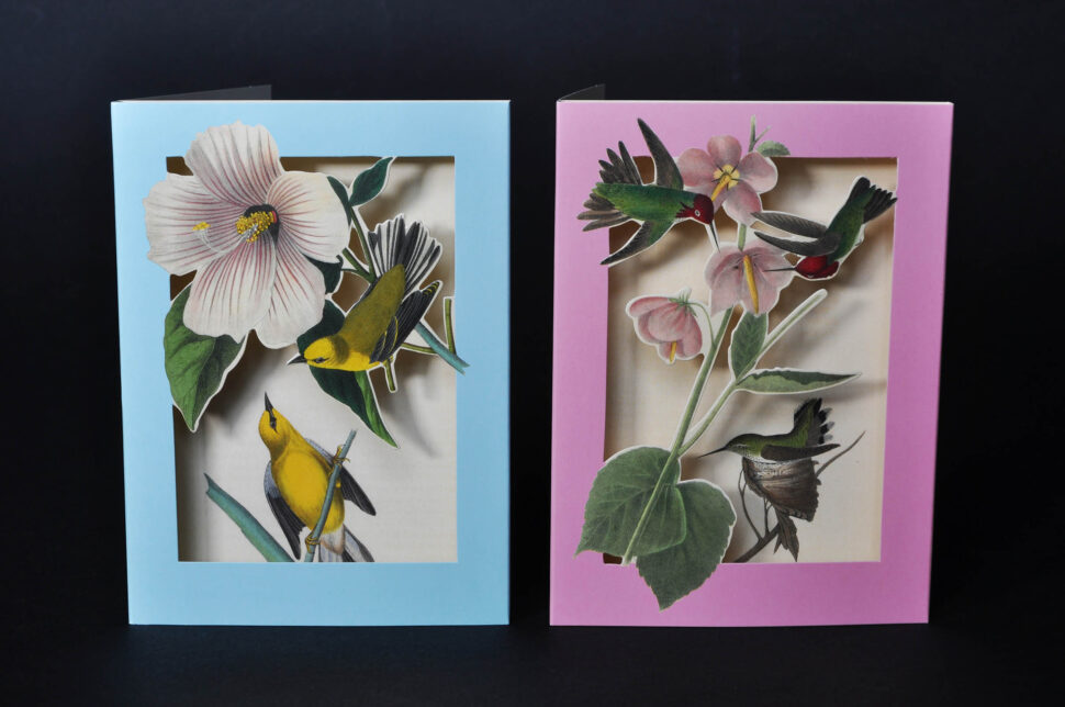 the met's pop-up notecards birds 1
