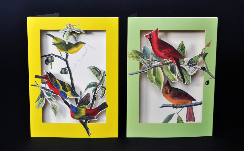 the met's pop-up notecards birds 2