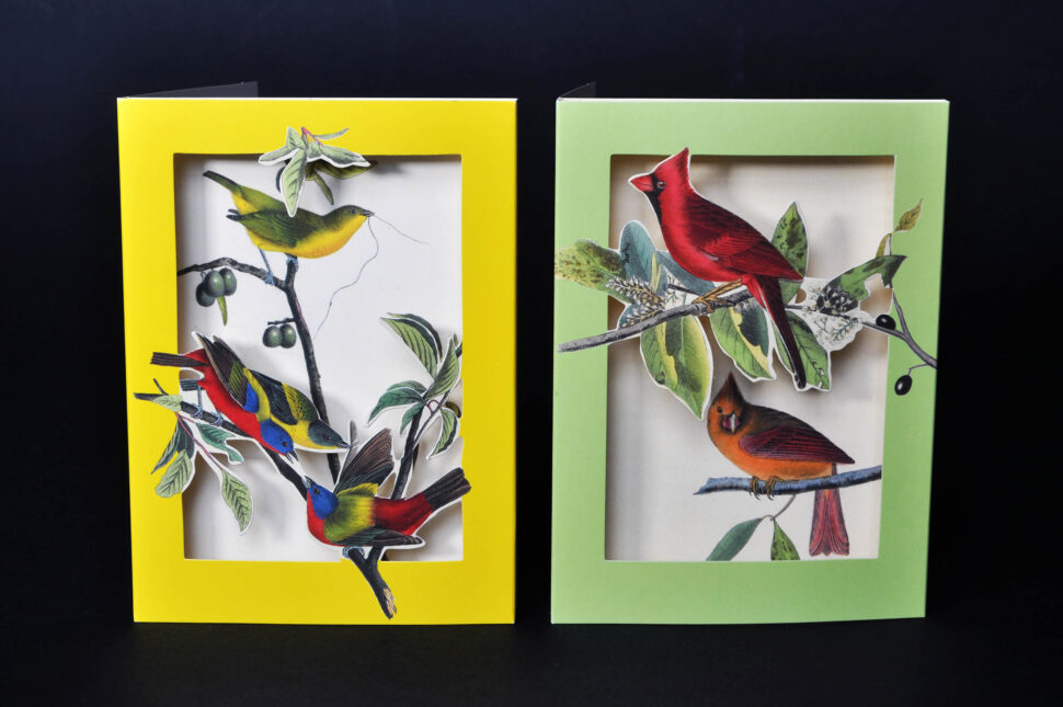 the met's pop-up notecards birds 2