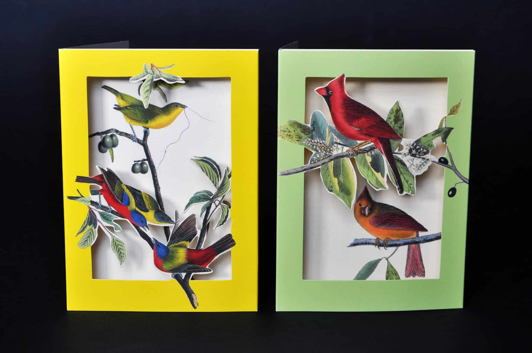 the met's pop-up notecards birds 2